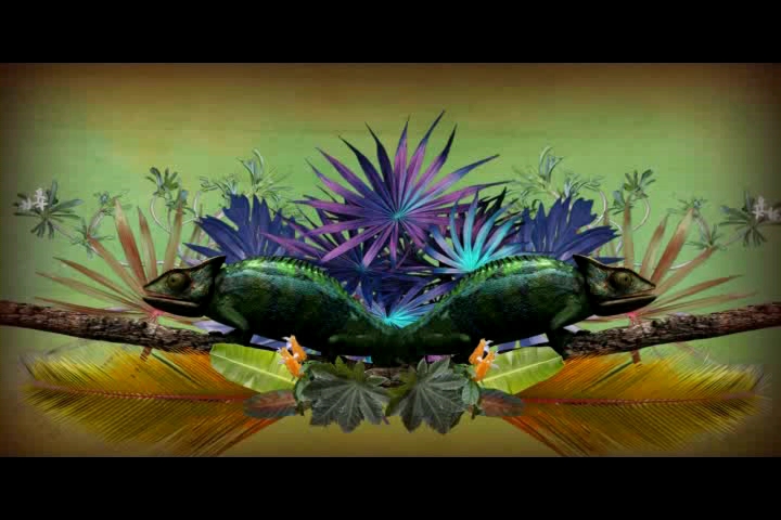 ī᷹_ڹ̿