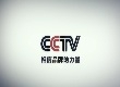 CCTV Ink