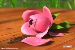 DOF �׽������� ���� �۾��ߴ��ſ���..